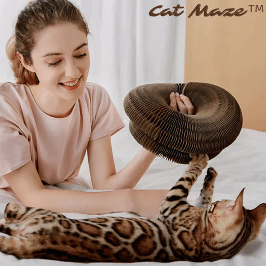 CatMaze™ Katten speelgoed