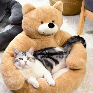 BearHugy™ | Het perfecte bed voor jouw harige vriend