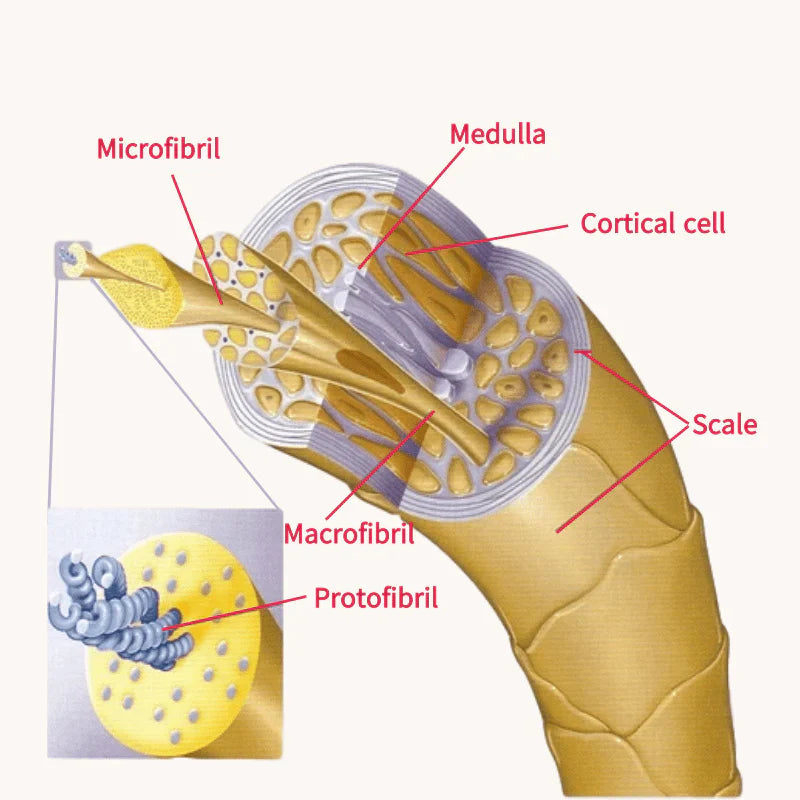 LocksLux™ Haarwortelbehandeling